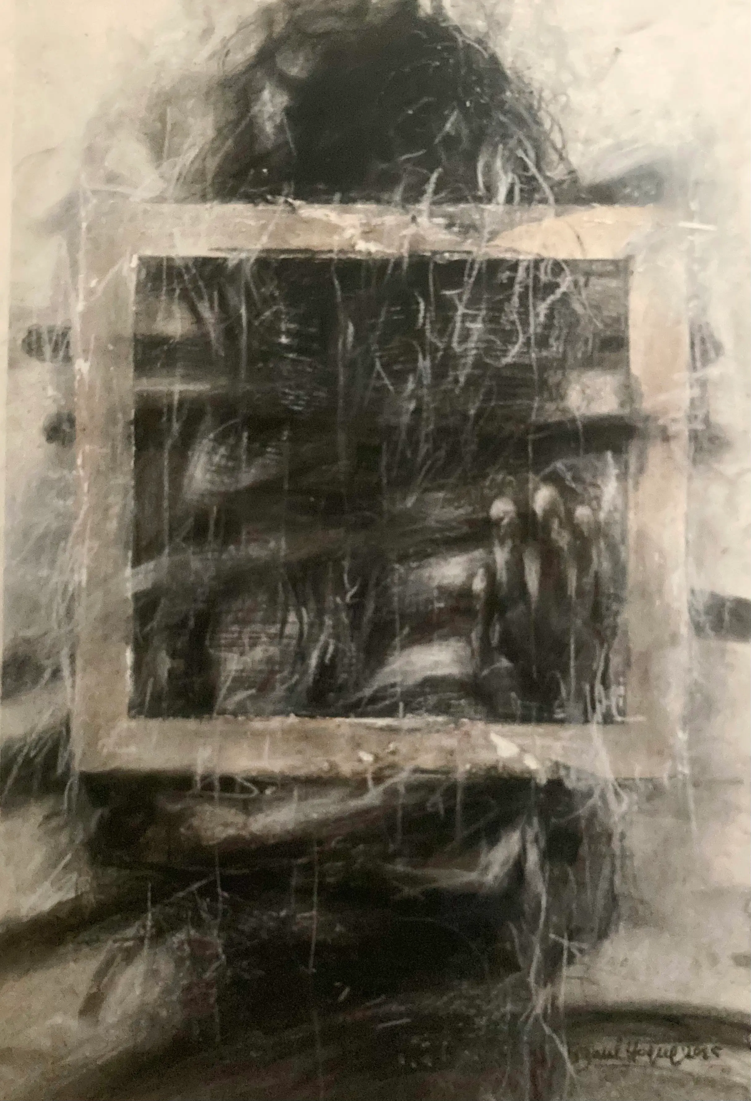 Echo within the Frame